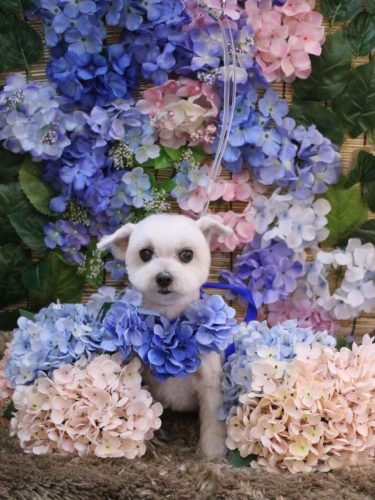 20250625うららちゃん